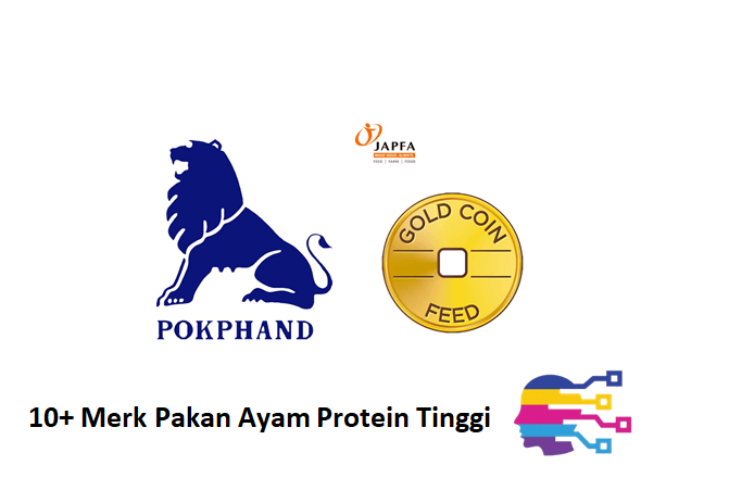 Merk Pakan Ayam Protein Tinggi