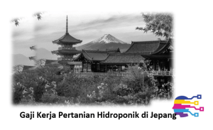 Gaji Kerja Pertanian Hidroponik di Jepang