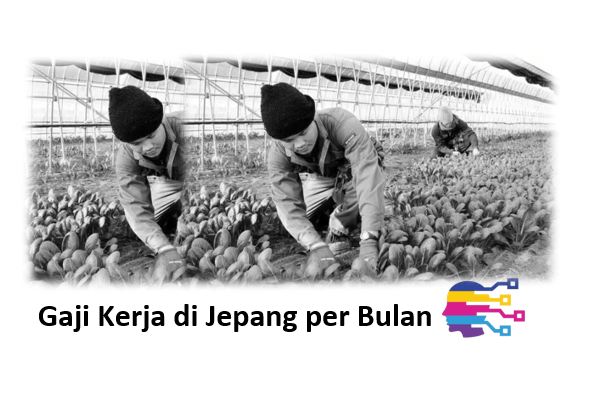 Gaji Kerja di Jepang per Bulan