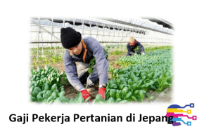 Gaji Pekerja Pertanian di Jepang