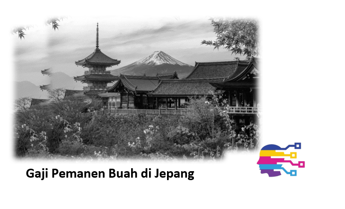 Gaji Pemanen Buah di Jepang