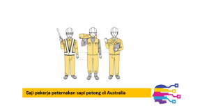 Gaji pekerja peternakan sapi potong di Australia